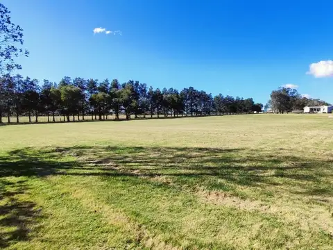 Terreno de 5 mil m2 en venta en El Quijote