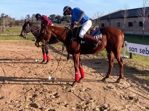 LOTE EN VENTA - GRAN OPORTUNIDAD 