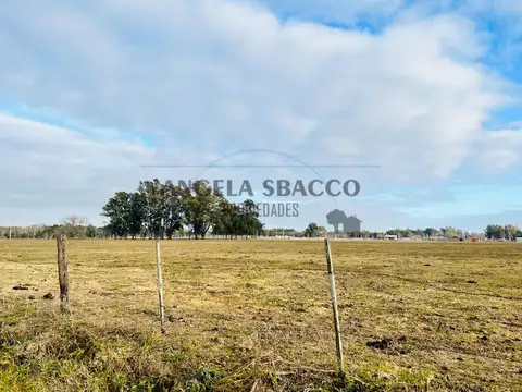 Terrenos El Remanso Colectora