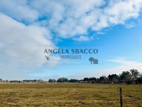 Terreno en Venta 39  mts Fondo