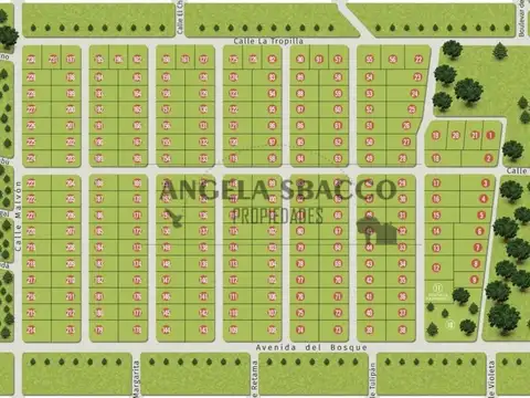 Terreno en Venta 38  mts Frente