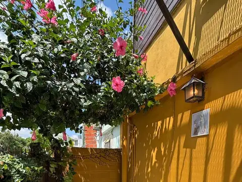 Avenida Dardo Rocha  al 4400