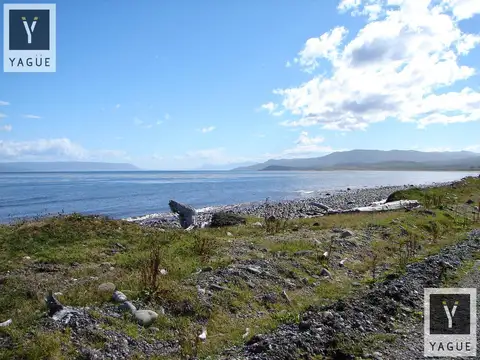 Campo en Estancia Harberton