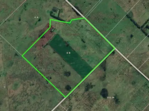 Campo en Venta - Altamirano