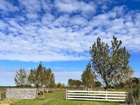 Camino Provincial 27-03