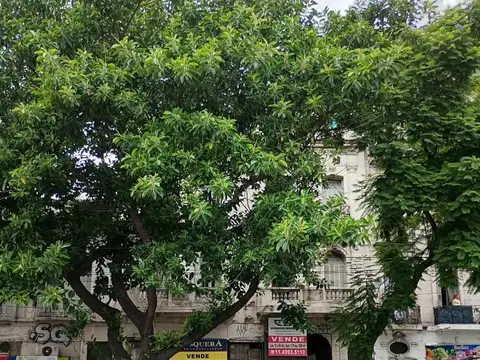 Excelente terreno doble frente para desarrollo inmobiliario de 3351 metros vendibles en Constitución