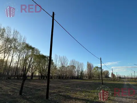 Terreno en Venta 130  mts Fondo