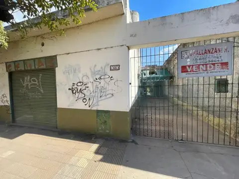 Manuel Carles 100