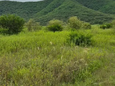 Terreno en Venta de 447,0 m2