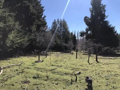 Terreno en Venta de 170000,0 m2