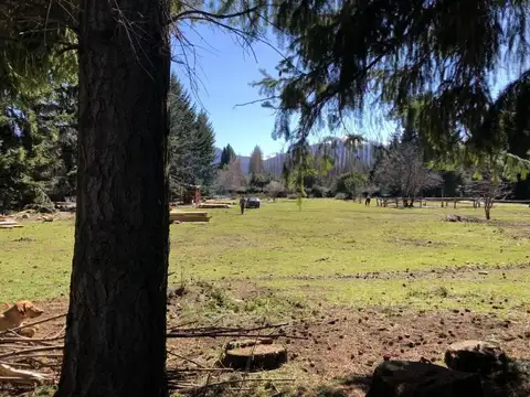 Terreno en Venta de 170000,0 m2