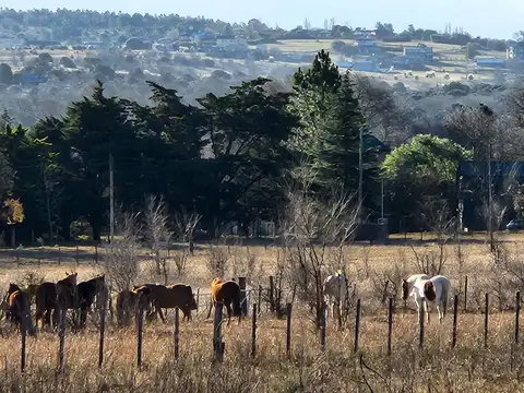 Arroyo Las Truchas