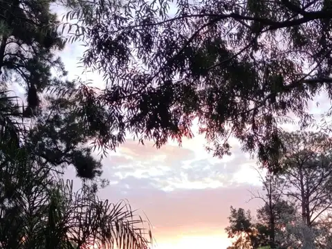 Terreno en Venta 20  mts Frente