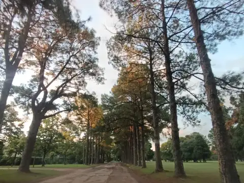 Terreno en Venta 30  mts Fondo