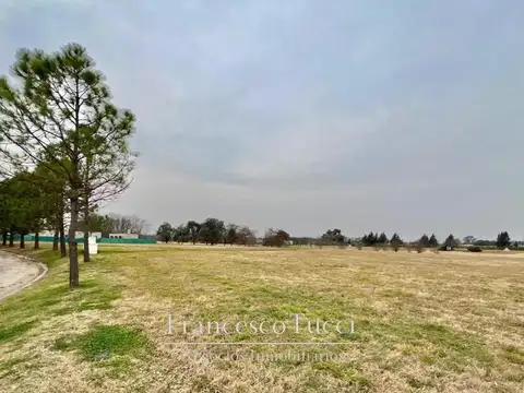 Av. Fernández Beschtedt Lote / N° 4200