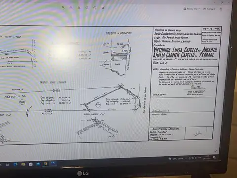 52 has sobre el Rio Parana de las Palmas linderas al Puerto Regasificador