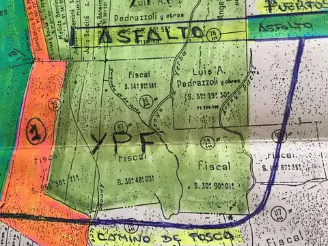 52 has sobre el Rio Parana de las Palmas linderas al Puerto Regasificador