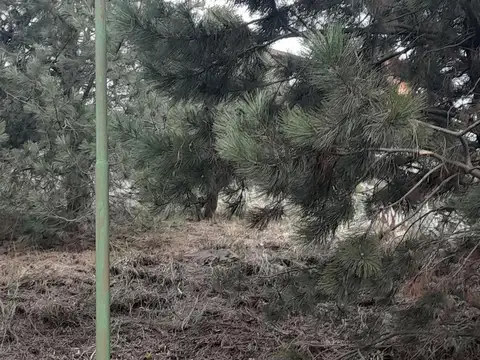 Terreno en Venta de 1317,0 m2