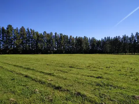 Campo de 9 has ruta panamericana km 152 San Pedro