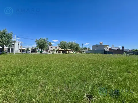 VENTA · TERRENO · TIERRAS DE SUEÑOS ALVEAR  · LA CAROLINA