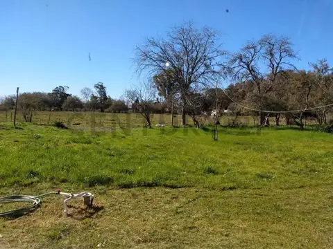 Casa en venta en J Arditi. Sobre lote de 1825 m2.