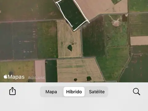 VENTA – Campo de 10 hectáreas en Capitán Bermúdez / Ibarlucea. Suelo 1.