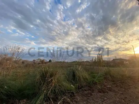 Lote en venta de 6557 m2, Sicardi La Plata