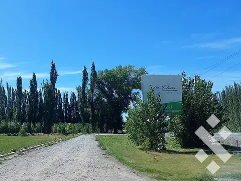 Terreno - Centenario