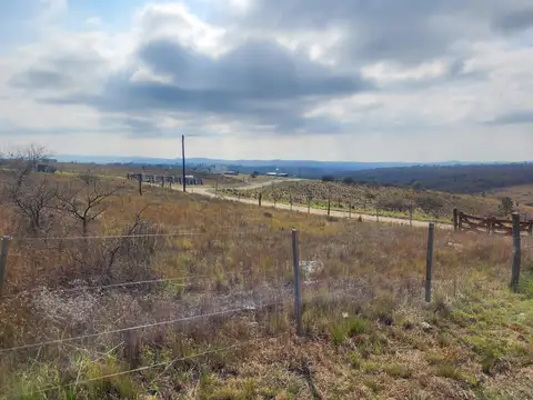 LA TORCACITA, POTRERO DE GARAY