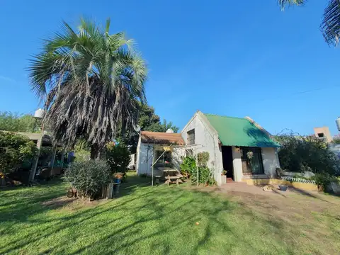 Lauría 2391