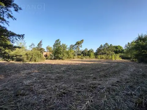 SDA. Venta Lote de terreno 4.000 m2. Colectora Sur Ruta 8 Km 77, Exaltacion de la Cruz