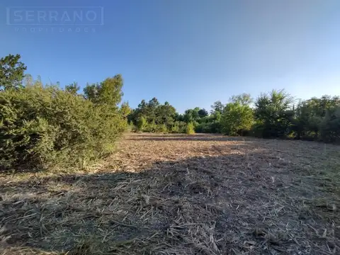 Terreno en Venta 100  mts Fondo