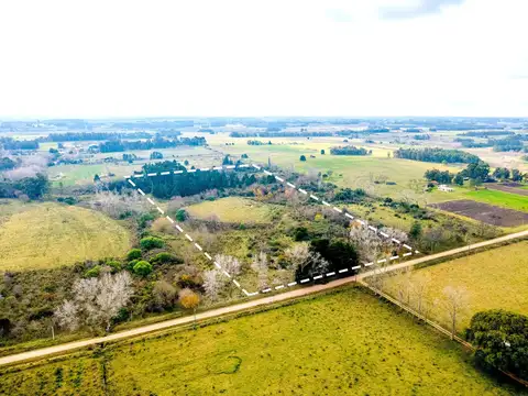 Venta de campo 5,6Ha en Rincon de Pando, Canelones