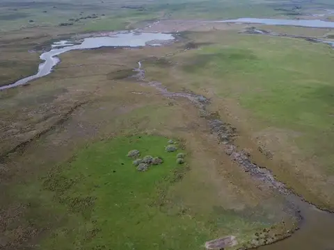 Campo Venta Gral. Lavalle 249 ha.- Sobre Asfalto