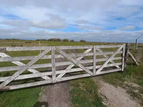 Campo Venta Gral. Lavalle 249 ha.- Sobre Asfalto 