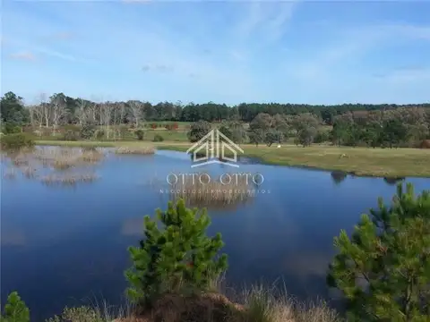 Terreno en Venta, FOT 40