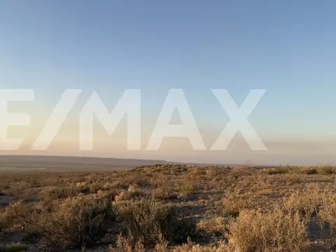 PARCELA  EN VENTA 20 HECTAREAS