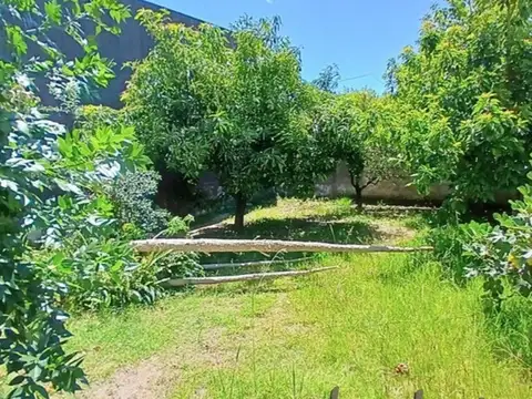 Tavella 2000