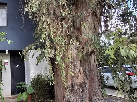 DUPLEX 4 AMBIENTES CON COCHERA Y PARQUE EN DON TORCUATO A/C