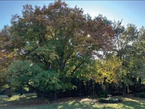 Terreno en Venta 66,37  mts Fondo