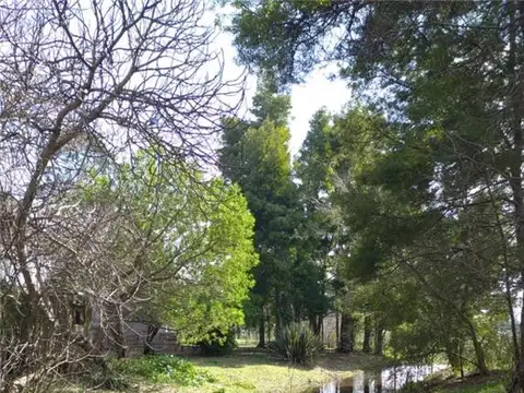 CIRCUNVALACION 3 100