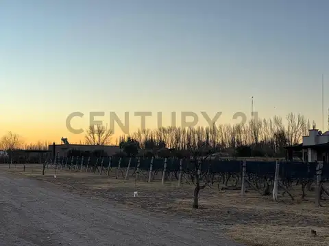 Terreno en Venta en Cuadro Benegas, USD 32.000