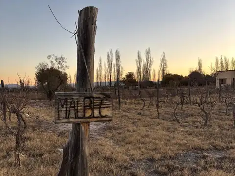 Lote de 3.139 m² en Loteo Miraviñas – San Rafael, Mendoza