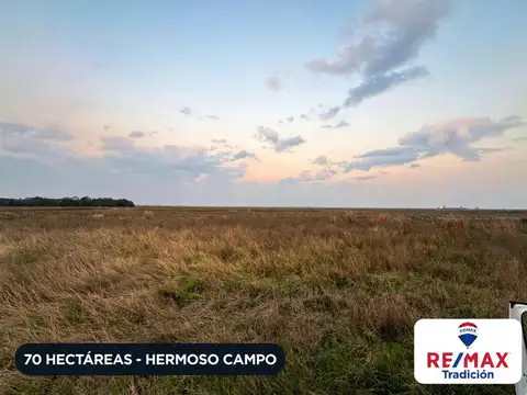 Campo venta 70 hectáreas en Hermoso Campo Chaco