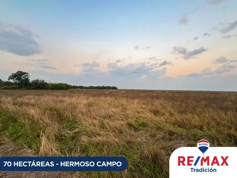 Campo venta 70 hectáreas en Hermoso Campo Chaco