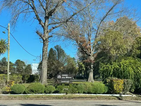 Pedro Nolasco Carrión, Zelaya