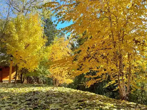 Casa en Venta en San Martin De Los Andes, USD 320.000