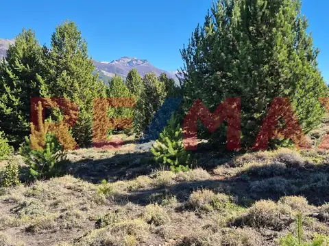 Terreno en Venta de 1984,0 m2