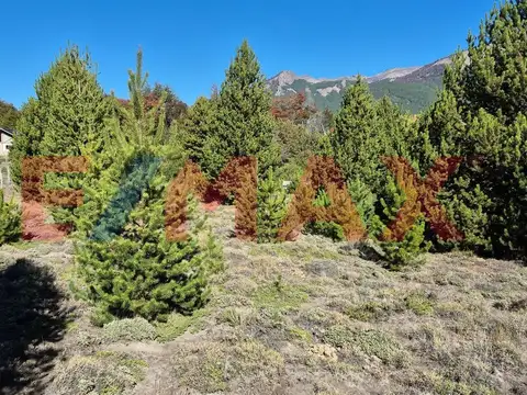 lote 9 y 10 de la manzana I 1,