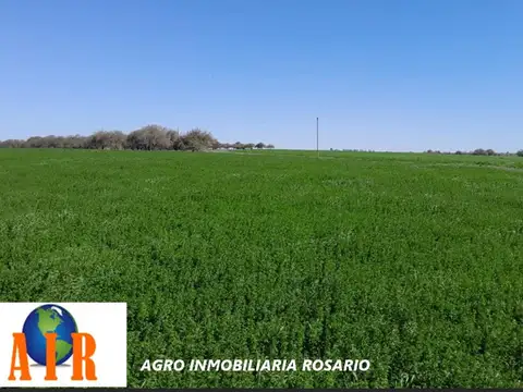 Campo en Venta de 70  ha